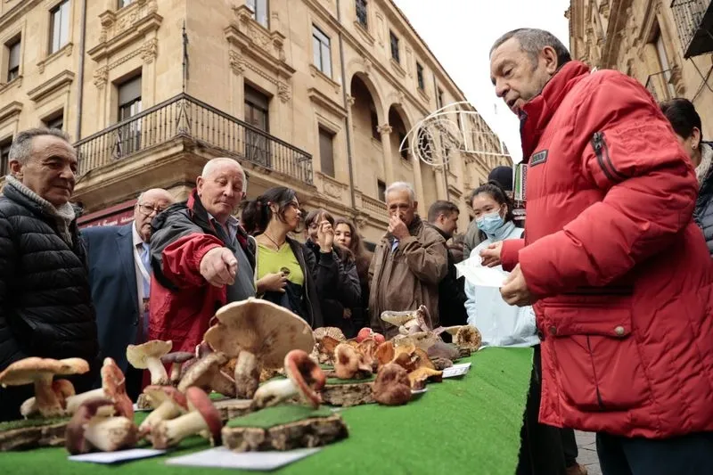 Foto 6 - La micolog&iacute;a llega al centro de Salamanca: as&iacute; ha sido la tradicional exposici&oacute;n de setas