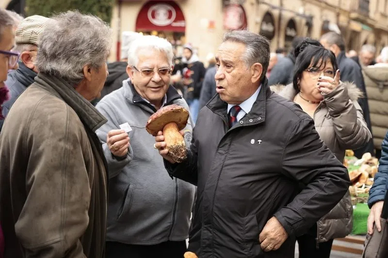 Foto 5 - La micolog&iacute;a llega al centro de Salamanca: as&iacute; ha sido la tradicional exposici&oacute;n de setas