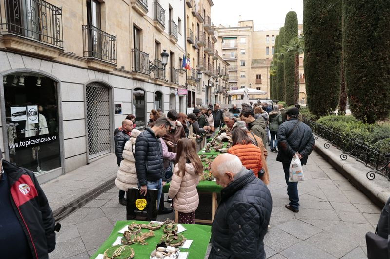 Foto 4 - La micología llega al centro de Salamanca: así ha sido la tradicional exposición de setas