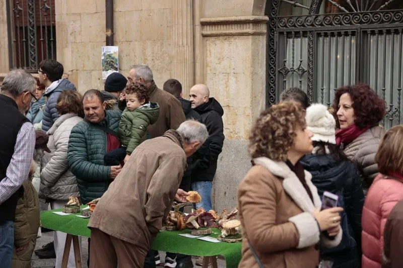 Foto 2 - La micolog&iacute;a llega al centro de Salamanca: as&iacute; ha sido la tradicional exposici&oacute;n de setas