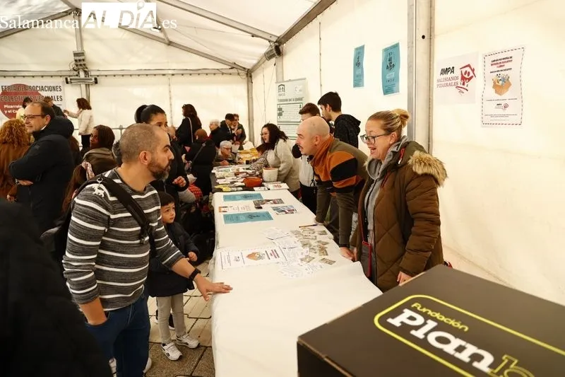 Feria de Asociaciones y colectivos vecinales. Fotos: David Sañudo