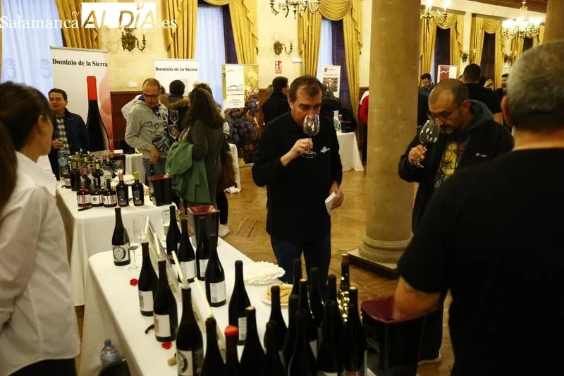 Presentación este martes de los vinos de la DOP Sierra de Salamanca en el Casino. 