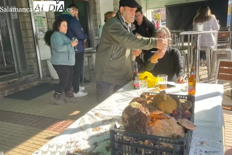 Decenas de personas participaban en el III Encuentro Micológico Ciudad de Peñaranda 
