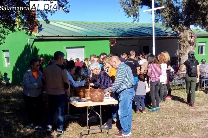 Narros del Castillo acogía las XIV Jornadas Micológicas de Narros del Castillo 