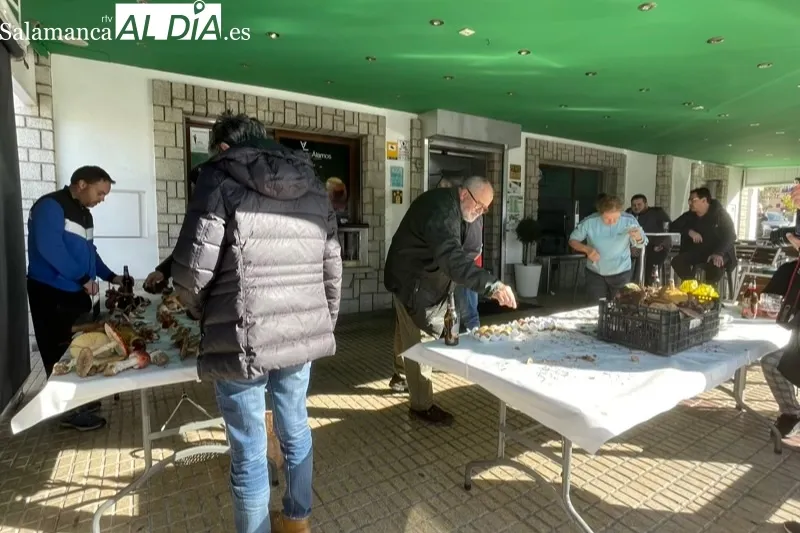 Decenas de personas participaban en el III Encuentro Micológico Ciudad de Peñaranda 