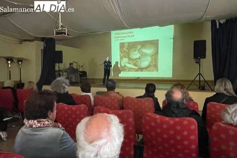 Narros del Castillo acogía las XIV Jornadas Micológicas de Narros del Castillo 