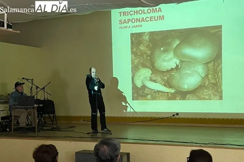 Narros del Castillo acogía las XIV Jornadas Micológicas de Narros del Castillo 