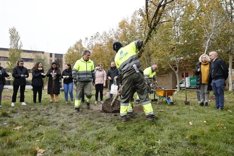 Plantación de medio centenar de árboles de 32 especies, esta mañana, en el Campus Unamuno. Foto de David Sañudo