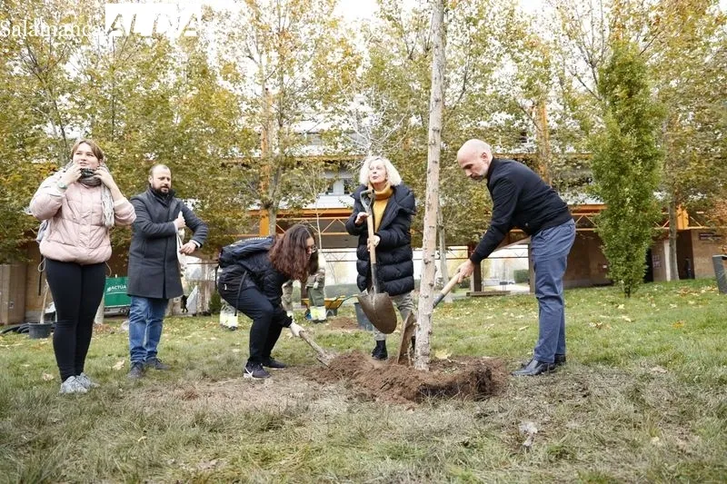 Plantación de medio centenar de árboles de 32 especies, esta mañana, en el Campus Unamuno. Foto de David Sañudo