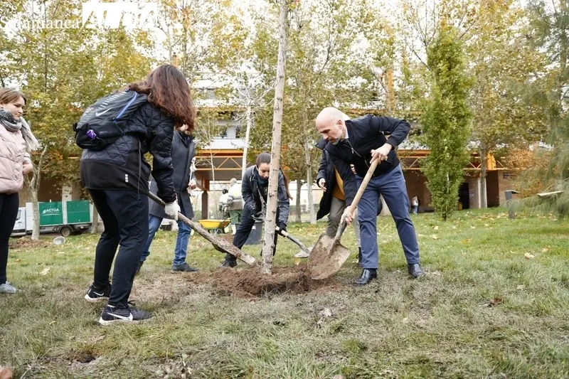 Plantación de medio centenar de árboles de 32 especies, esta mañana, en el Campus Unamuno. Foto de David Sañudo