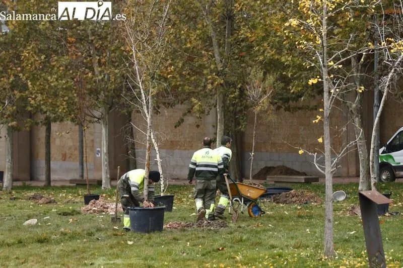 Plantación de medio centenar de árboles de 32 especies, esta mañana, en el Campus Unamuno. Foto de David Sañudo