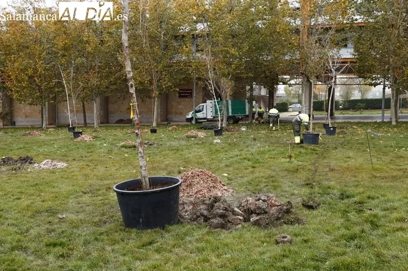 Plantación de medio centenar de árboles de 32 especies, esta mañana, en el Campus Unamuno. Foto de David Sañudo