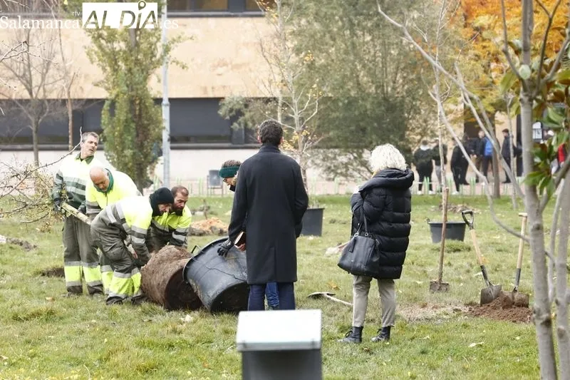 Plantación de medio centenar de árboles de 32 especies, esta mañana, en el Campus Unamuno. Foto de David Sañudo