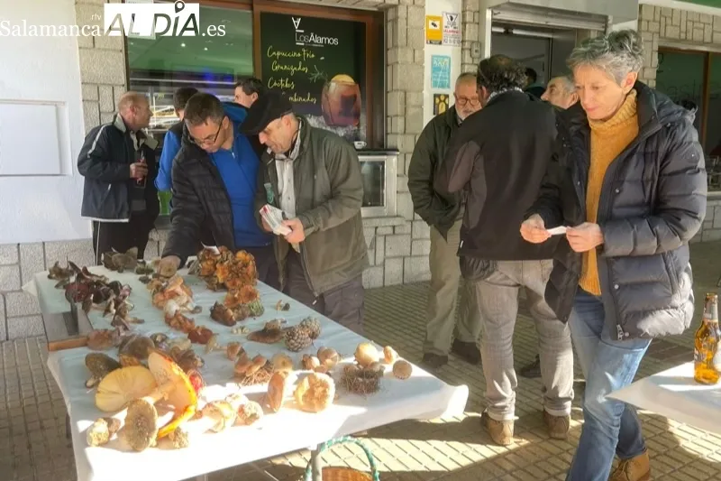 Decenas de personas participaban en el III Encuentro Micológico Ciudad de Peñaranda 