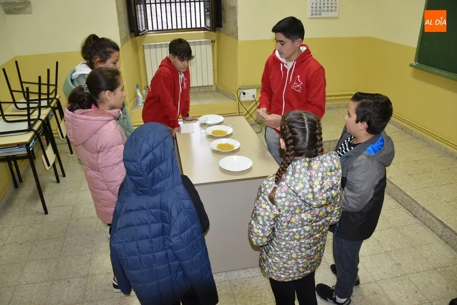 Foto 3 - Una treintena de chavales toma parte en la gymkana en honor a San Cayetano
