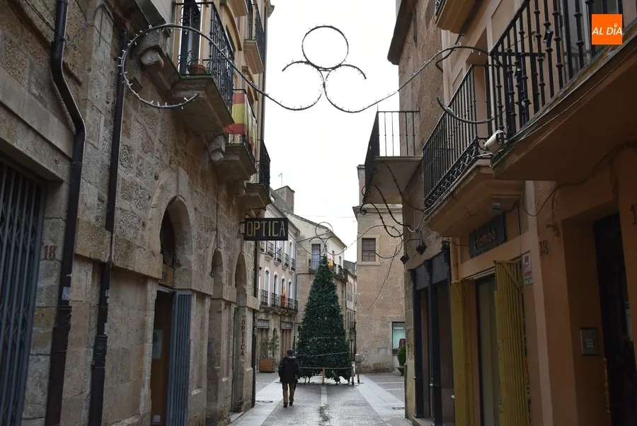 Foto 4 - Levantado en el centro de la calle Madrid el &aacute;rbol que decorar&aacute;n los ni&ntilde;os