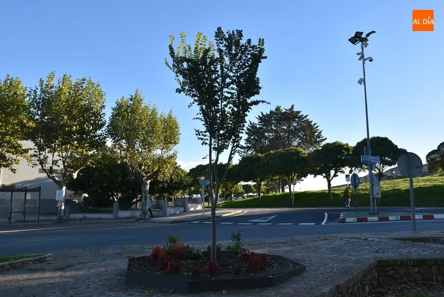 Foto 5 - El nuevo &lsquo;&Aacute;rbol Gordo&rsquo; cumple su primer a&ntilde;o en el centro de Ciudad Rodrigo