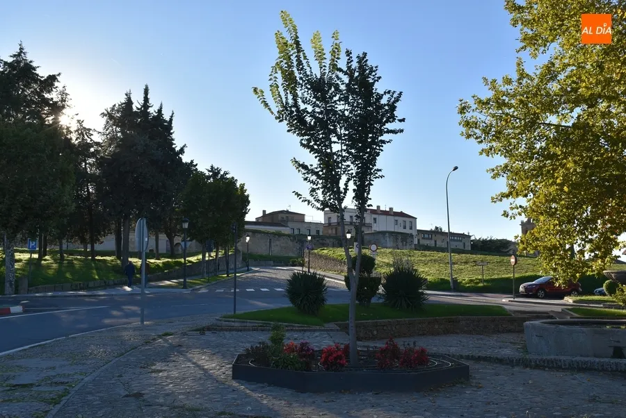 Foto 6 - El nuevo &lsquo;&Aacute;rbol Gordo&rsquo; cumple su primer a&ntilde;o en el centro de Ciudad Rodrigo