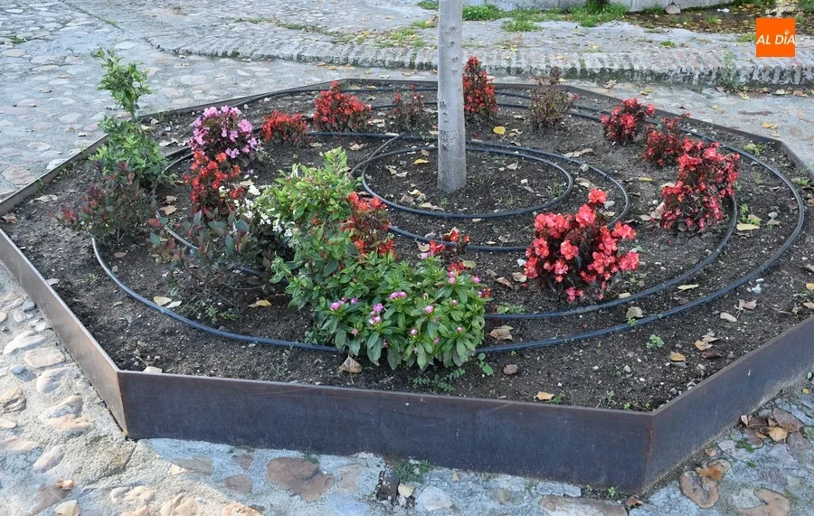 Foto 3 - El nuevo &lsquo;&Aacute;rbol Gordo&rsquo; cumple su primer a&ntilde;o en el centro de Ciudad Rodrigo