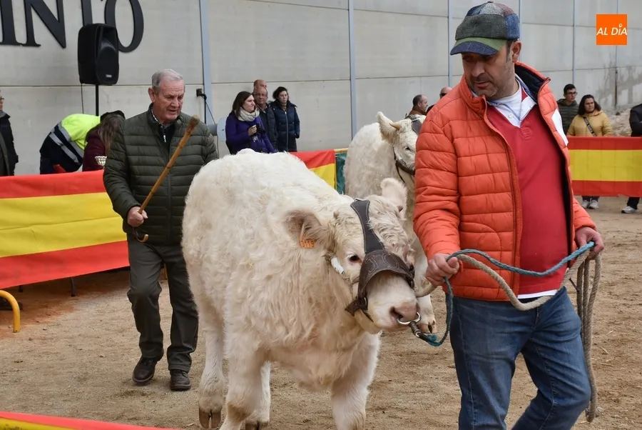 Foto 3 - &lsquo;Oportuno&rsquo;, gran vencedor de la Feria de San Andr&eacute;s 2022