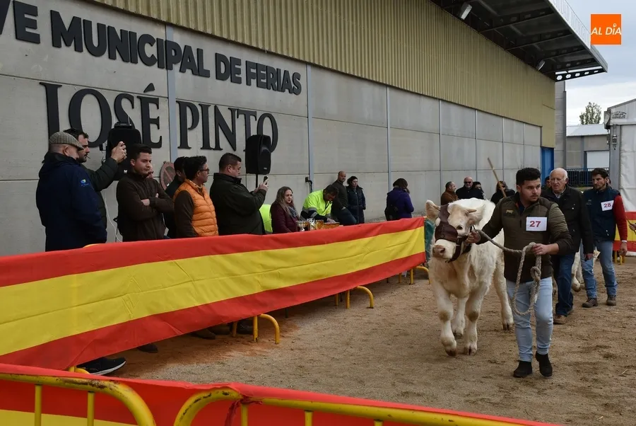 Foto 5 - &lsquo;Oportuno&rsquo;, gran vencedor de la Feria de San Andr&eacute;s 2022