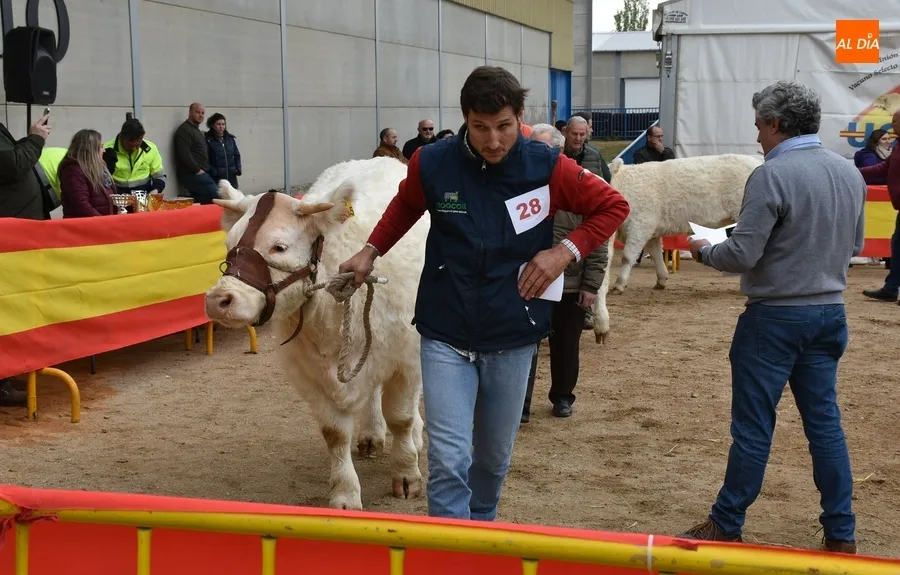 Foto 6 - &lsquo;Oportuno&rsquo;, gran vencedor de la Feria de San Andr&eacute;s 2022