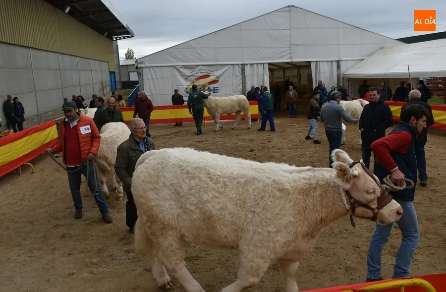 Foto 7 - &lsquo;Oportuno&rsquo;, gran vencedor de la Feria de San Andr&eacute;s 2022