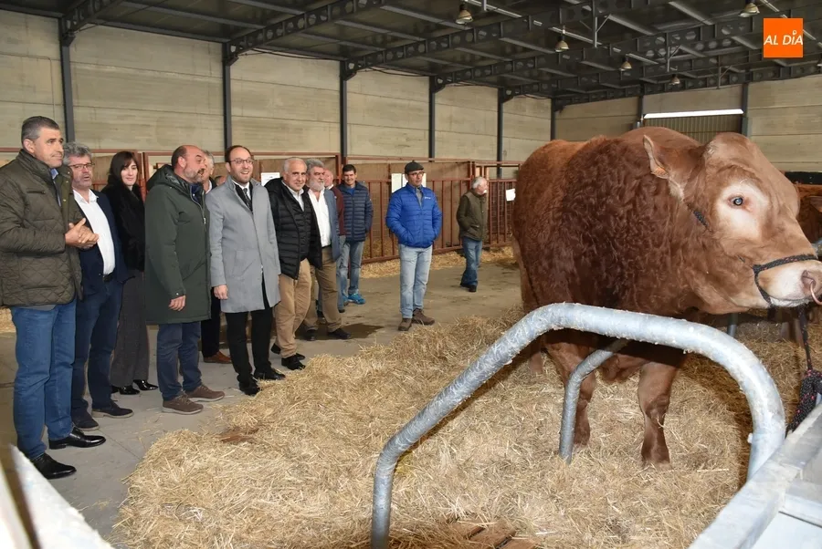 Foto 2 - &lsquo;Oportuno&rsquo;, gran vencedor de la Feria de San Andr&eacute;s 2022