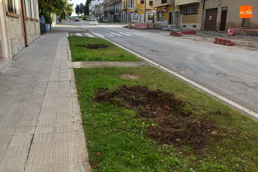 Foto 2 - La nueva mediana de la Avenida de España empieza a tomar forma