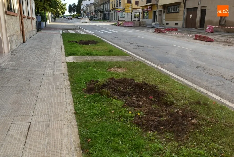 Foto 2 - La nueva mediana de la Avenida de Espa&ntilde;a empieza a tomar forma