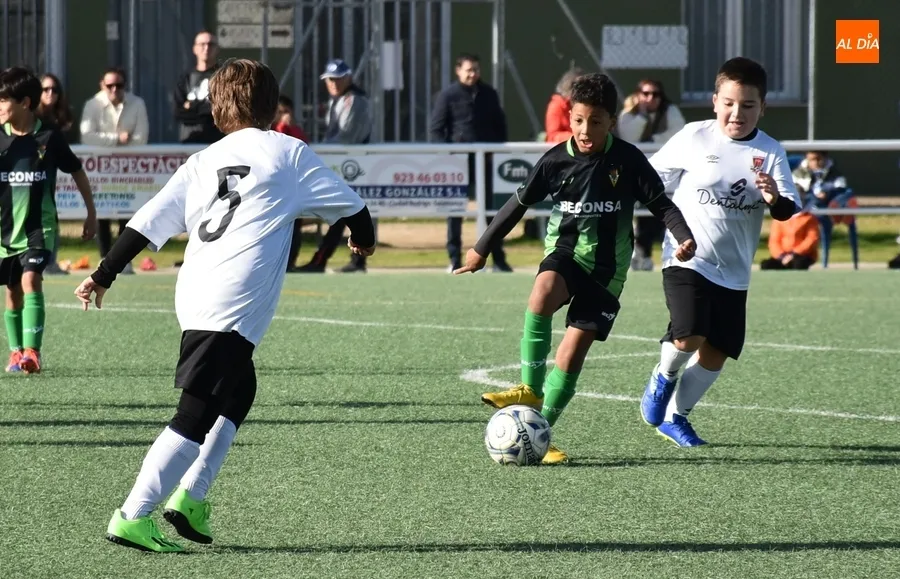 Foto 8 - #M | 12-13 NOV | El Benjam&iacute;n B del Ciudad Rodrigo refuerza su liderato al ganar a otro equipo de arriba