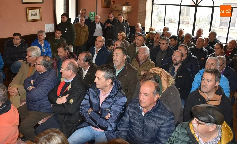 Foto 10 - Cotizaciones r&eacute;cord del cerdo ib&eacute;rico de bellota tras escenificarse &ldquo;m&aacute;s distanciamiento que nunca&rdquo;