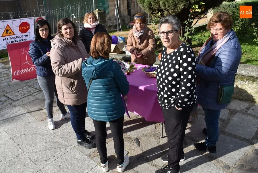 Foto 2 - Medio millar de personas alcanza la meta de la igualdad en las calles mirobrigenses