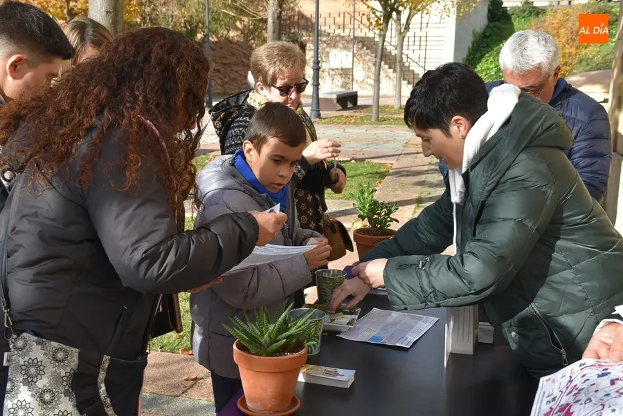 Foto 4 - Medio millar de personas alcanza la meta de la igualdad en las calles mirobrigenses