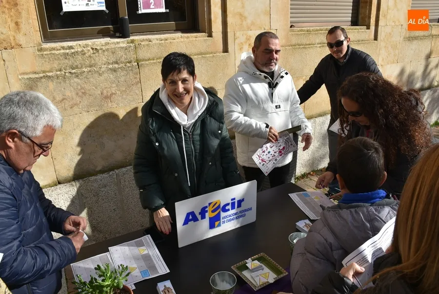 Foto 6 - Medio millar de personas alcanza la meta de la igualdad en las calles mirobrigenses