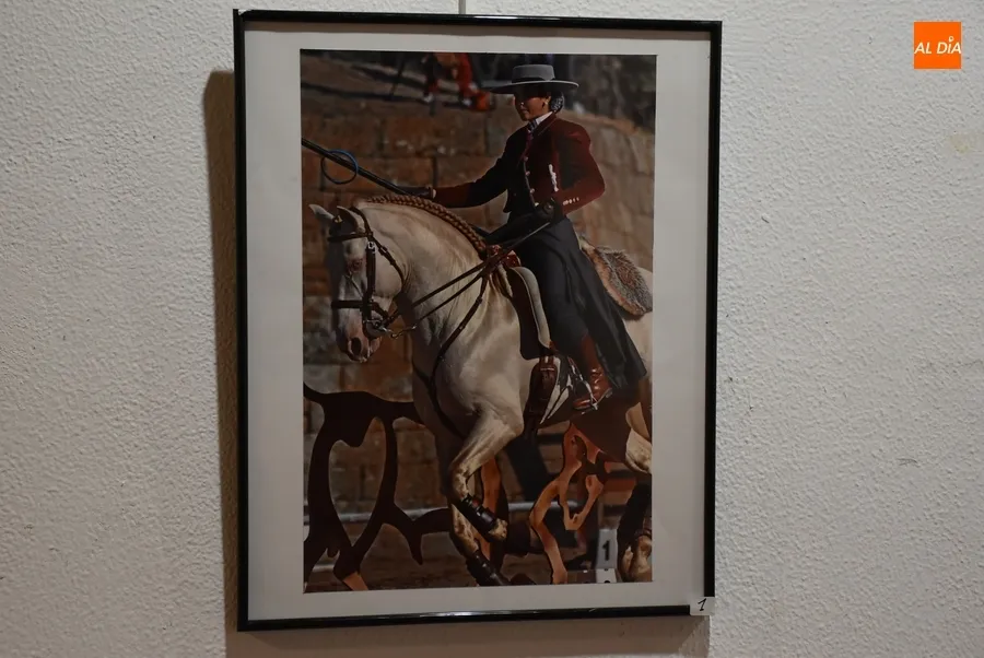 Foto 2 - Presentadas 20 im&aacute;genes al XIX Concurso de Fotograf&iacute;a de la Feria del Caballo