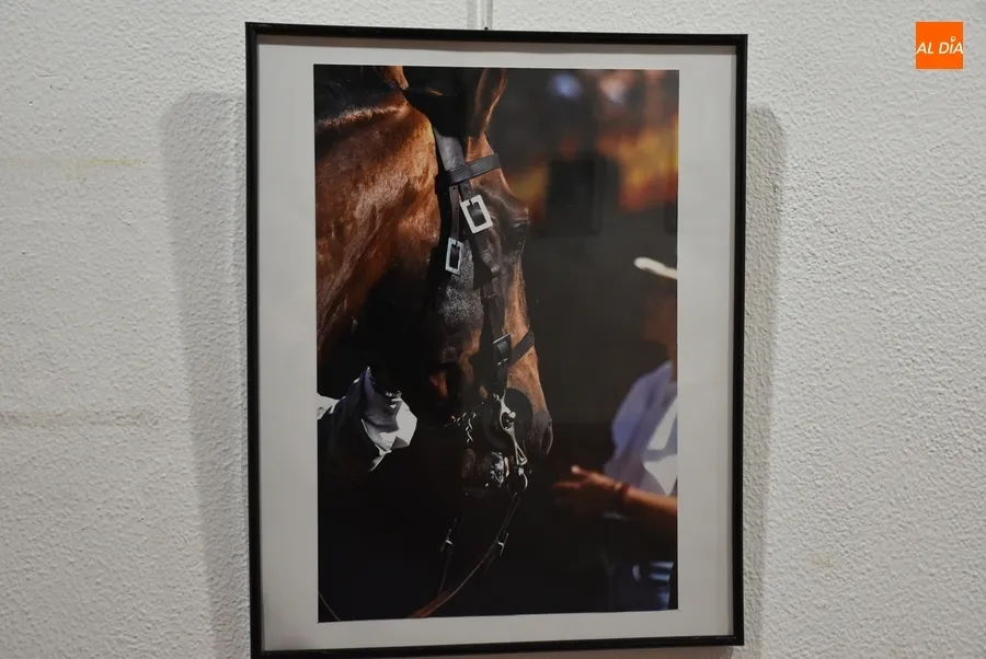 Foto 3 - Presentadas 20 im&aacute;genes al XIX Concurso de Fotograf&iacute;a de la Feria del Caballo
