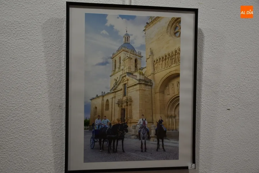 Foto 6 - Presentadas 20 im&aacute;genes al XIX Concurso de Fotograf&iacute;a de la Feria del Caballo