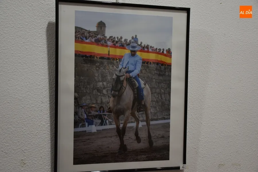 Foto 7 - Presentadas 20 im&aacute;genes al XIX Concurso de Fotograf&iacute;a de la Feria del Caballo