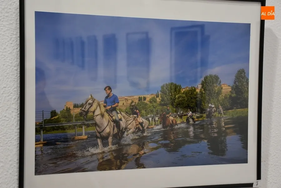 Foto 8 - Presentadas 20 im&aacute;genes al XIX Concurso de Fotograf&iacute;a de la Feria del Caballo