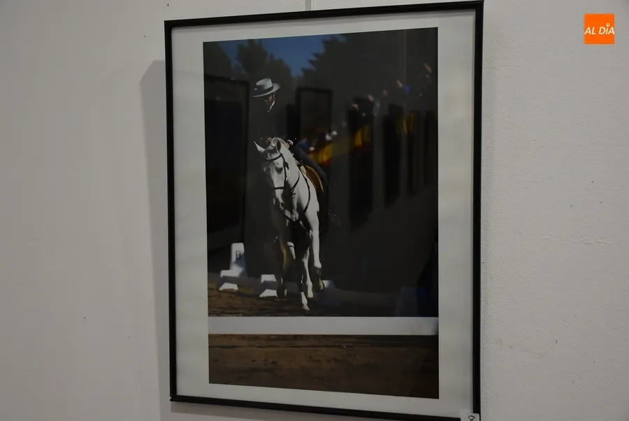 Foto 9 - Presentadas 20 im&aacute;genes al XIX Concurso de Fotograf&iacute;a de la Feria del Caballo