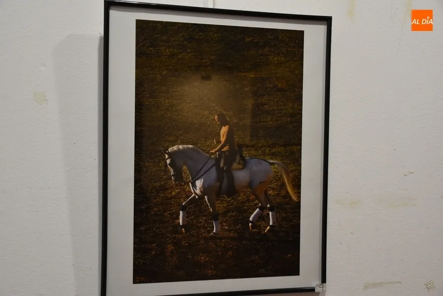 Foto 10 - Presentadas 20 im&aacute;genes al XIX Concurso de Fotograf&iacute;a de la Feria del Caballo