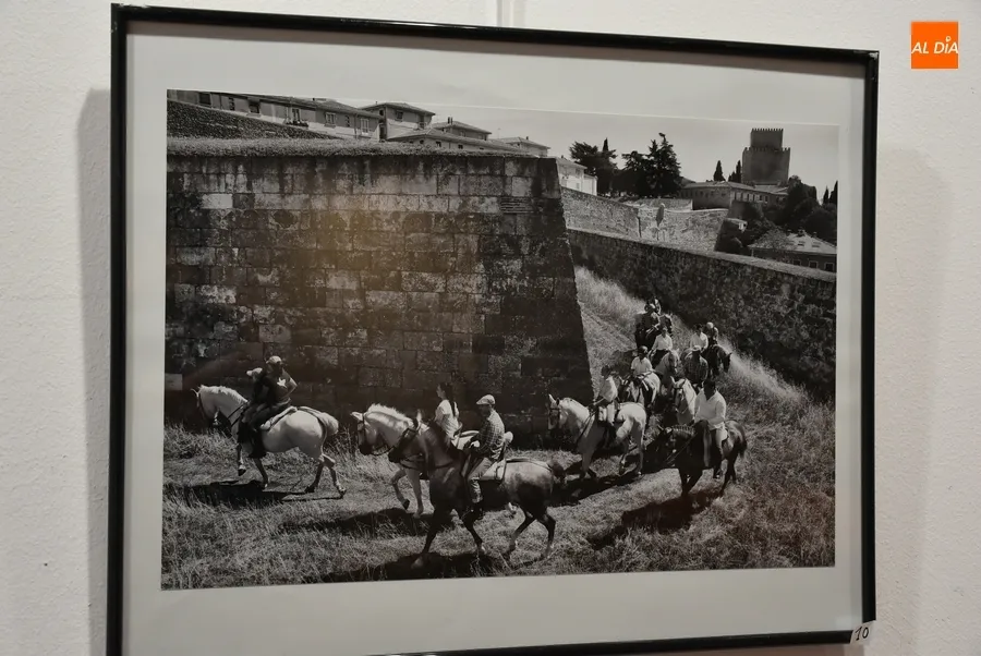 Foto 11 - Presentadas 20 im&aacute;genes al XIX Concurso de Fotograf&iacute;a de la Feria del Caballo