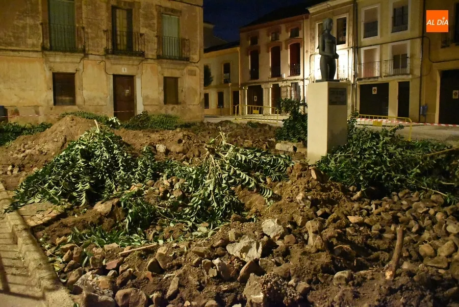 Foto 6 - Retirados los &aacute;rboles del Campo de Carniceros