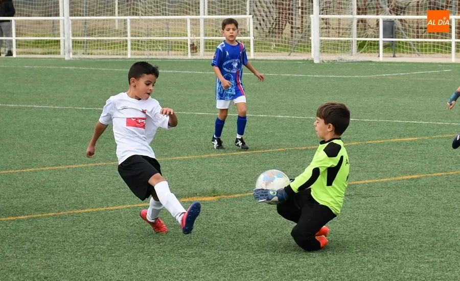 Foto 3 - El Prebenjam&iacute;n del Ciudad Rodrigo se lleva en un partidazo el duelo de invictos ante Trinitarios