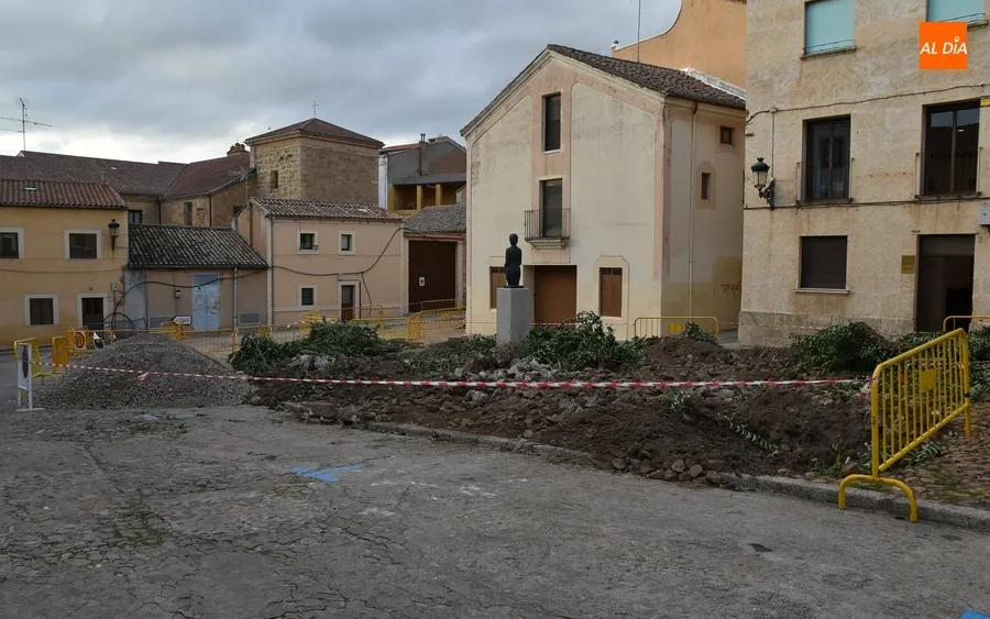 Foto 7 - Retirados los &aacute;rboles del Campo de Carniceros