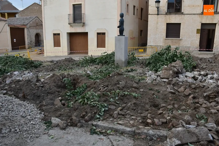 Foto 8 - Retirados los &aacute;rboles del Campo de Carniceros