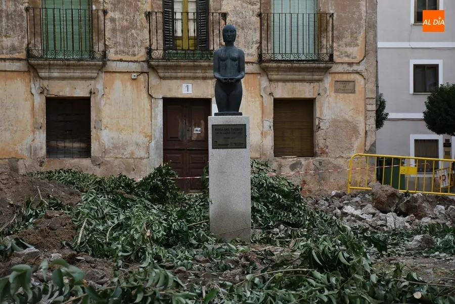 Foto 9 - Retirados los &aacute;rboles del Campo de Carniceros