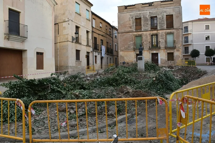Foto 10 - Retirados los &aacute;rboles del Campo de Carniceros