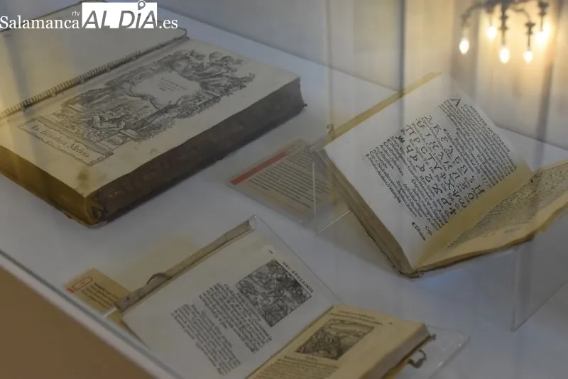 Foto 10 - La USAL rescata sus 'tesoros' bibliogr&aacute;ficos sobre Egipto